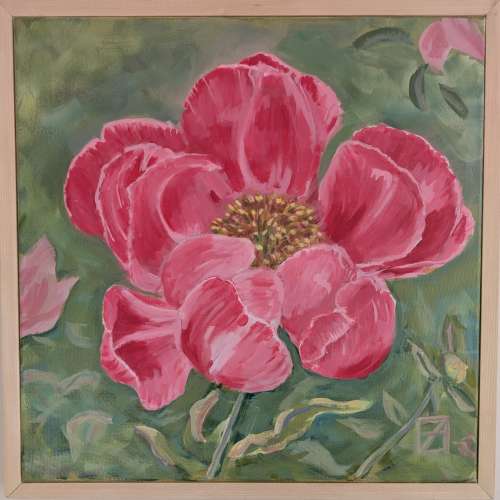 20x20 Fuscia Peony