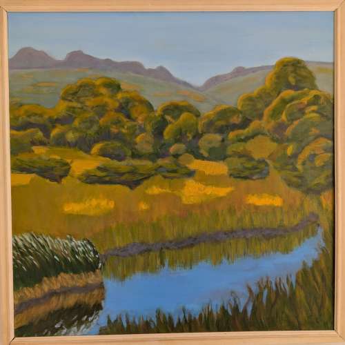 24x24 Pond in High Summer