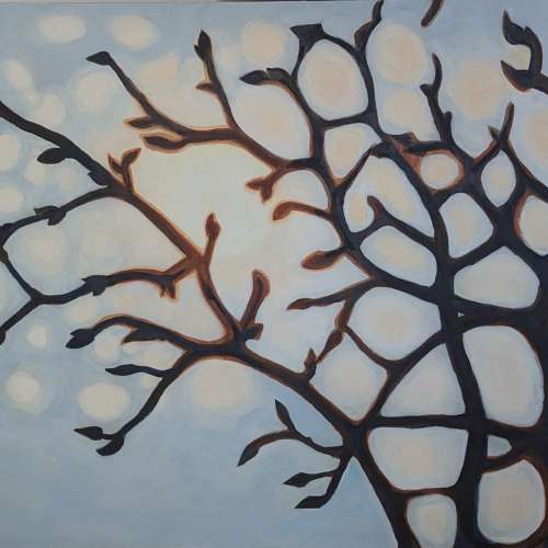 PXL_20230217_203059487_2